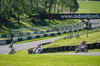 cadwell-no-limits-trackday;cadwell-park;cadwell-park-photographs;cadwell-trackday-photographs;enduro-digital-images;event-digital-images;eventdigitalimages;no-limits-trackdays;peter-wileman-photography;racing-digital-images;trackday-digital-images;trackday-photos